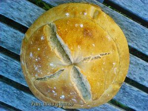 pan de campo - pan uvas y queso