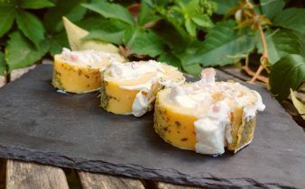 rollo tortilla - pan uvas y queso