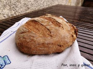 pan de queso de cabra - pan uvas y queso
