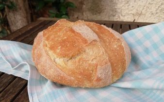 pan de chert - pan uvas y queso