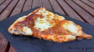 pizza de mozzarella - pan uvas y queso