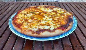 pizza de mozzarella - pan uvas y queso