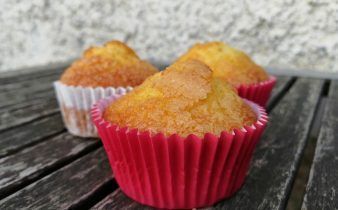 Madgalenas de naranja thermomix - pan uvas y queso